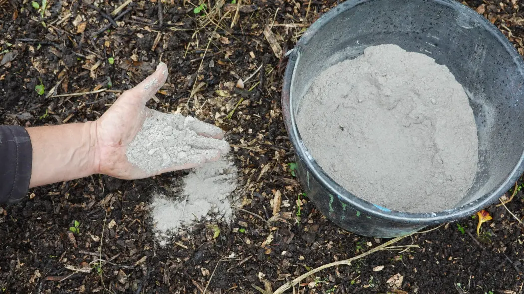 Mączka bazaltowa pod borówkę
