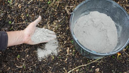 Mączka bazaltowa pod borówkę? Dlaczego to nie zawsze dobry pomysł