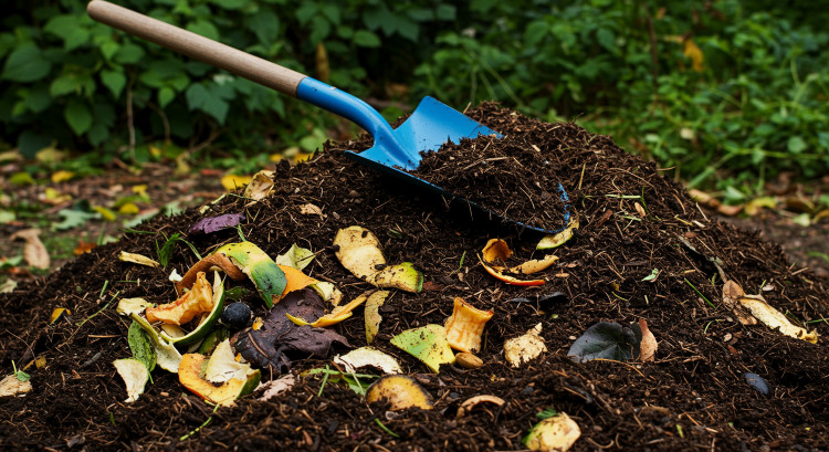 Jak przyspieszyć kompostowanie? Domowe sposoby i skuteczne dodatki
