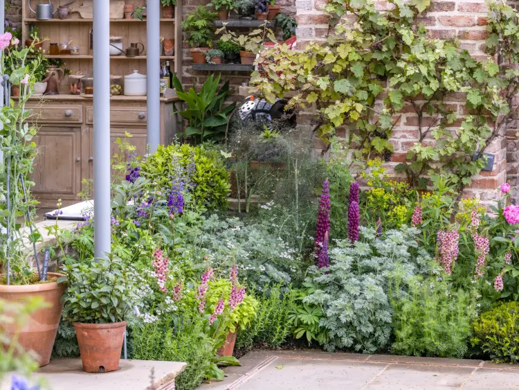 Pomysł na rabatę. Przy letniej kuchni