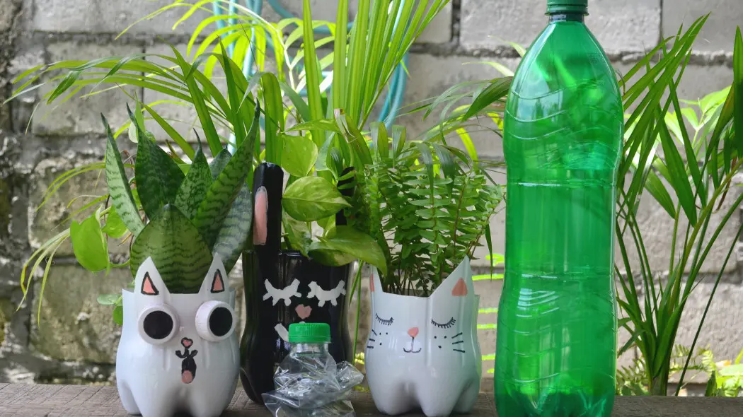 Zrób to z butelki, a każdy będzie podziwiać! Jak stworzyć doniczki z recyklingu?