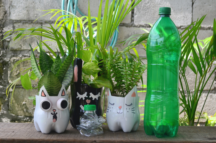 Zrób to z butelki, a każdy będzie pytać: jak stworzyć doniczki z recyklingu?