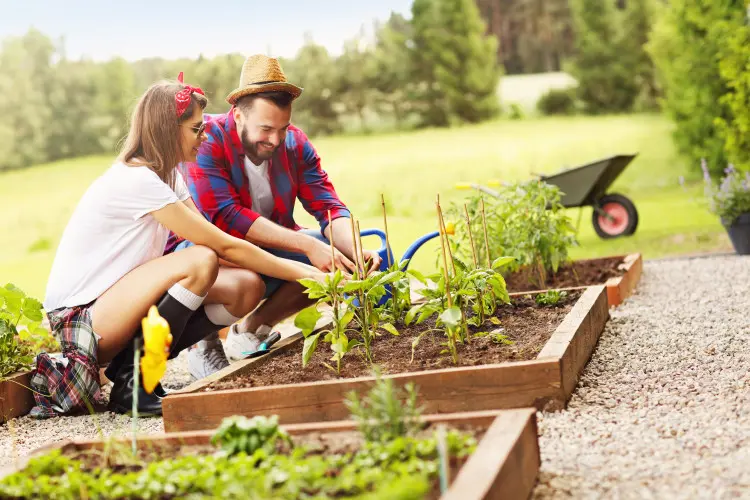 Raport: 41 proc. Polaków uprawia własne warzywa. Głównie dla smaku, nie dla oszczędności