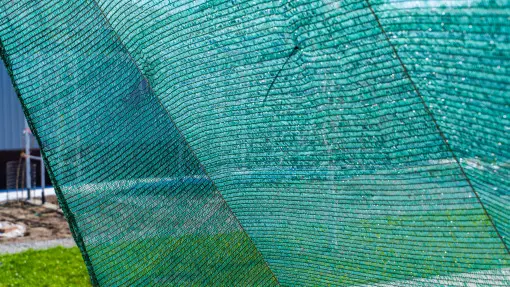Twoje warzywa więdną mimo podlewania? Rozwieś siatkę, a uratujesz plony