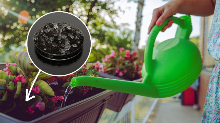 Po 2 łyżki do doniczki i kwiaty balkonowe już nigdy nie zwiędną choćby w upał