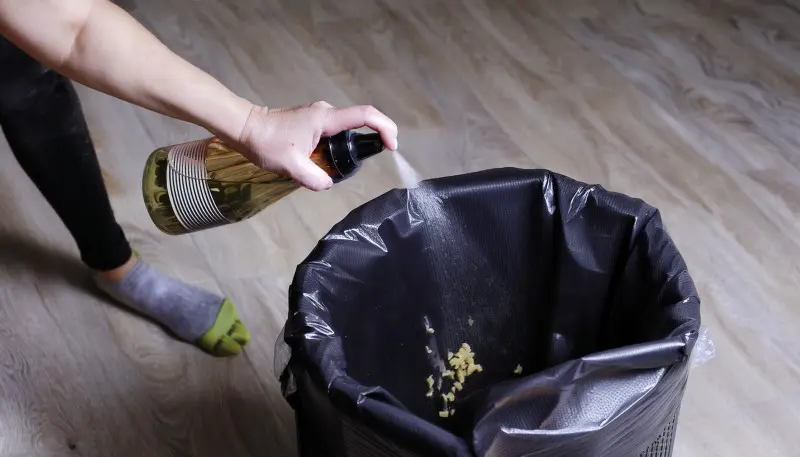 Domowy sposób na smród z kosza na śmieci