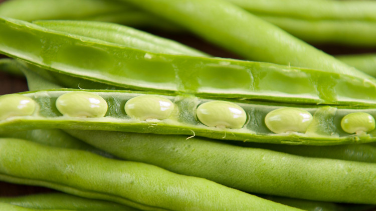 To już ostatni moment na siew fasolki szparagowej. Im później, tym gorzej