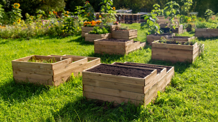 Ogródek warzywny z desek z europalety. Przepis na skrzynie warzywne za darmo + FILM
