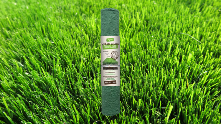 Błyskawiczny trawnik w 2 tygodnie? Zielony dywan bez wysiewu dzięki macie – hydrożel, nawóz i nasiona w jednym