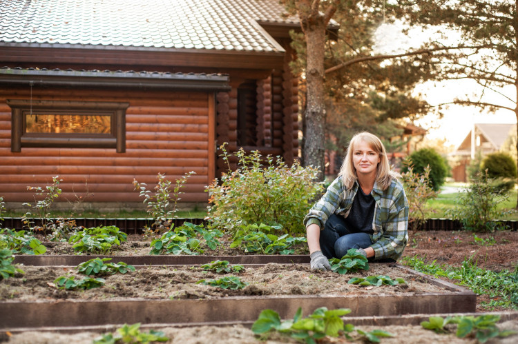 Czym różni się działka rekreacyjna od działki ROD?