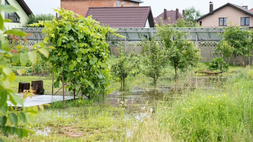 Co zrobić, żeby woda nie stała na działce Oto, co działa lepiej niż drenaż