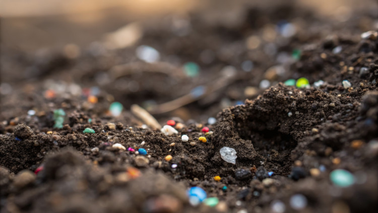 Zanieczyszczenie gleby mikroplastikiem. Jak wpływa na żywność i nasze zdrowie?