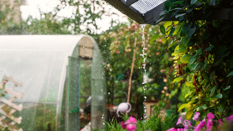 Zrób to przed letnimi ulewami. Te 3 prace w ogrodzie uchronią Cię przed stratami