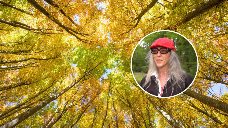 Ekspertka od terapii leśnej zdradza sekret relaksu. Co daje 15 minut w lesie?