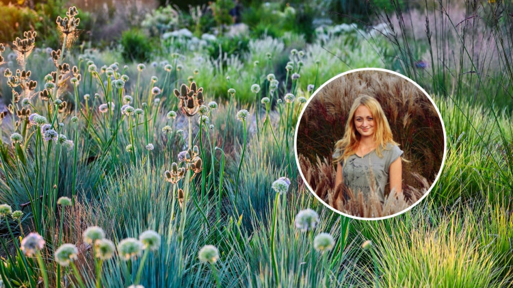 Potencjał traw ozdobnych – jak maksymalnie wydobyć piękno traw w małym ogrodzie?