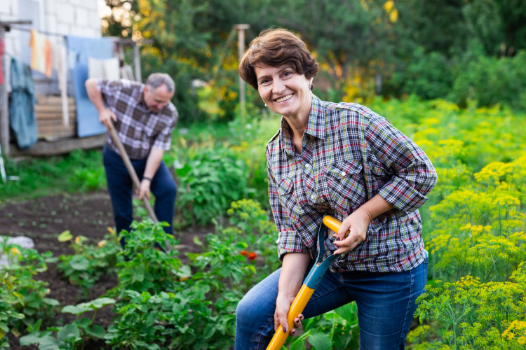 Kiedy inni leniuchują, sprytni ogrodnicy pracują. 18 rzeczy do zrobienia w sierpniu, aby przygotować ogród na tę jesień i przyszłą wiosnę