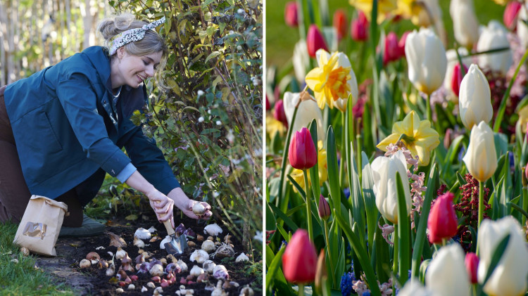 Nie planuj rabaty – zrób wiosenną loterię! Już teraz zadbaj o wiosenną niespodziankę