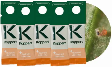 Saszetki z dobroczynkiem kalifornijskim