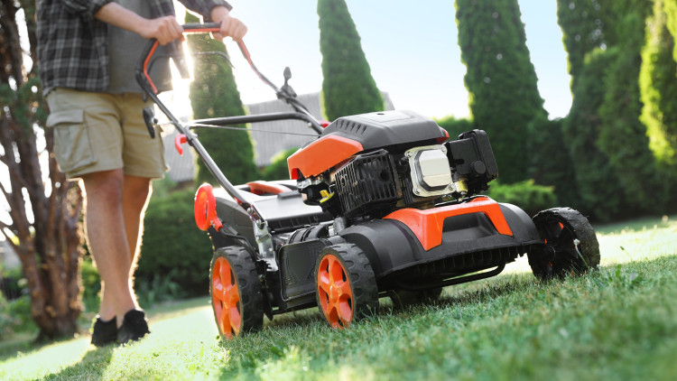 Czy można kosić trawnik mokry od rosy? Oto, co musisz wiedzieć. 5 ważnych zasad