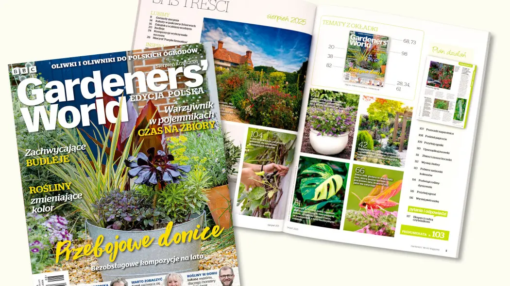 Zobacz sierpniowy numer Gardeners’ World. Edycja Polska