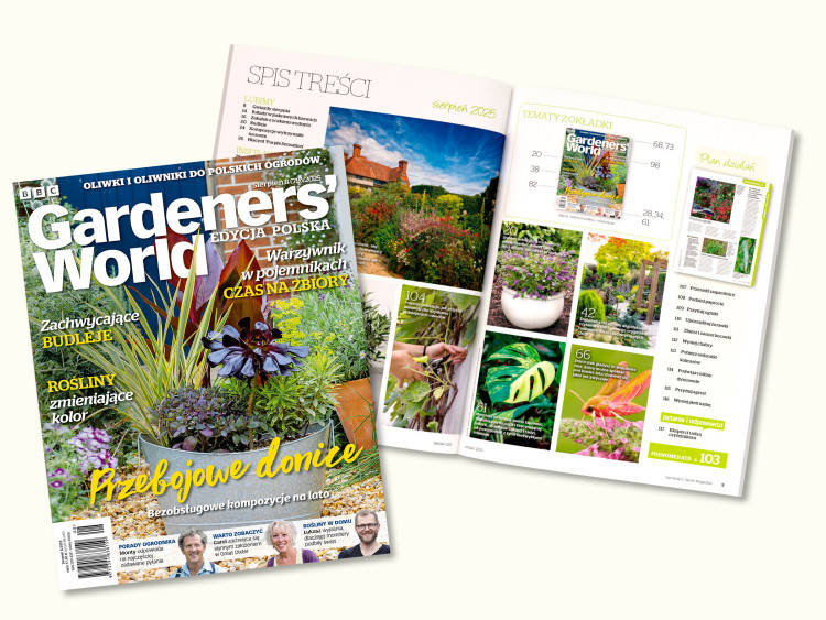 Lato pełne kwiatów i inspiracji – sięgnij po sierpniowy numer Gardeners’ World