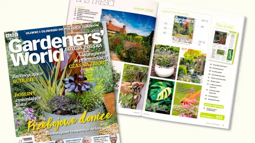 Lato pełne kwiatów i inspiracji – sięgnij po sierpniowy numer Gardeners’ World