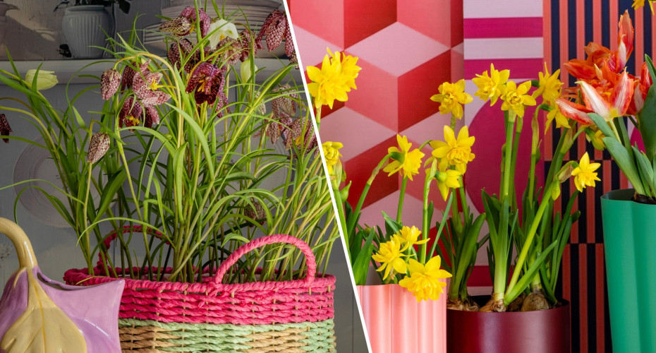 Wiosenne trendy kwiatowe na 2026 rok od iBulb. Romantyczny czy energetyczny – który wybierzesz?