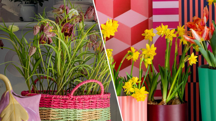 Kwiatowe trendy wnętrzarskie na 2026 rok od iBulb. Romantyczny czy energetyczny – który wybierzesz?