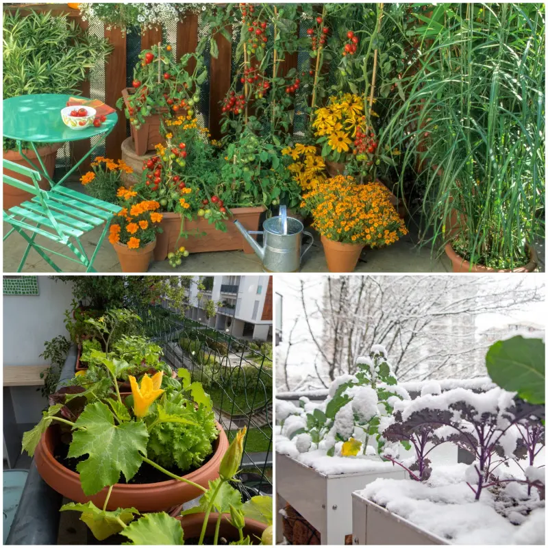 Balkon urządzony w stylu urban farming
