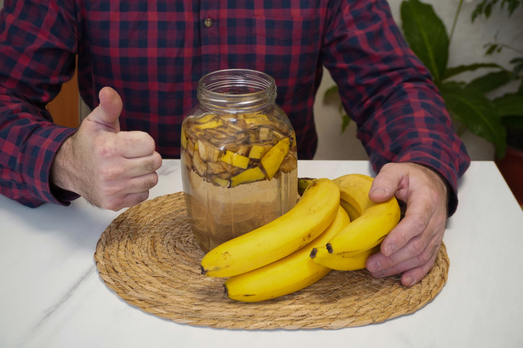 Zamiast do śmieci, wrzuć do blendera. Przepis na shake bananowy dla roślin. Jak zrobić i stosować?