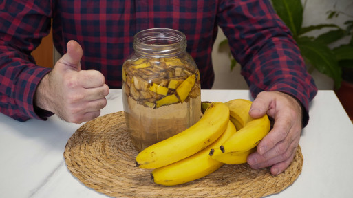 Zamiast do śmieci, wrzuć do blendera. Przepis na odżywczy shake bananowy dla roślin. Jak zrobić i stosować?