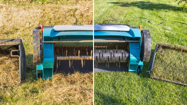 Aeracja czy wertykulacja? Różnice, narzędzia, terminy – co zrobić najpierw?