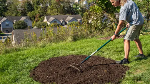 Dosiewanie trawnika jesienią: kiedy i jak zrobić to skutecznie (krok po kroku)