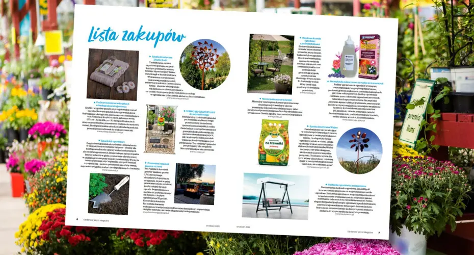 Przygotuj ogród na jesień – te produkty sprawdzą się we wrześniu idealnie