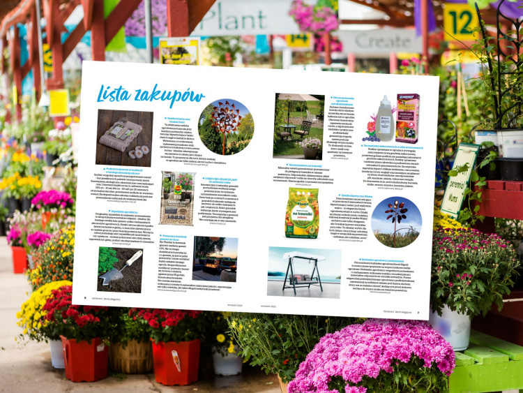 Przygotuj ogród na jesień – te produkty sprawdzą się we wrześniu idealnie