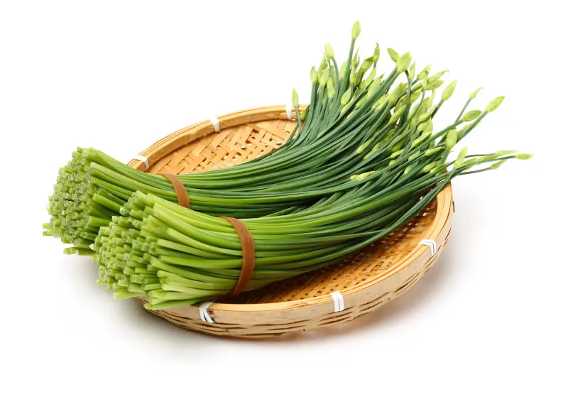 Szczypiorek czosnkowy, czosnnek bulwiasty (Allium tuberosum) - pędy kwiatostanowe