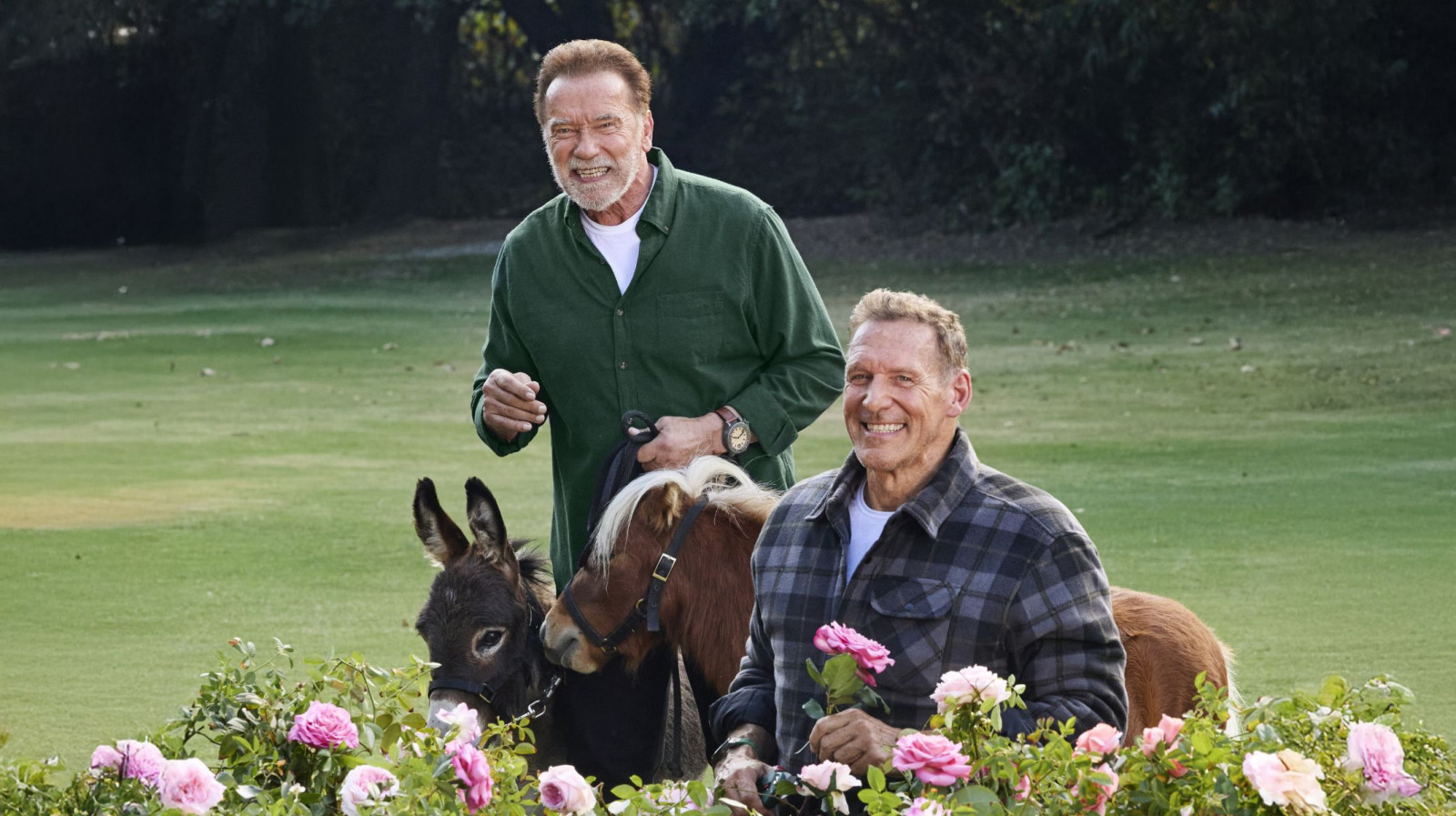 Terminator wkracza do warsztatu! Arnold i Ralf w nowej kampanii PARKSIDE