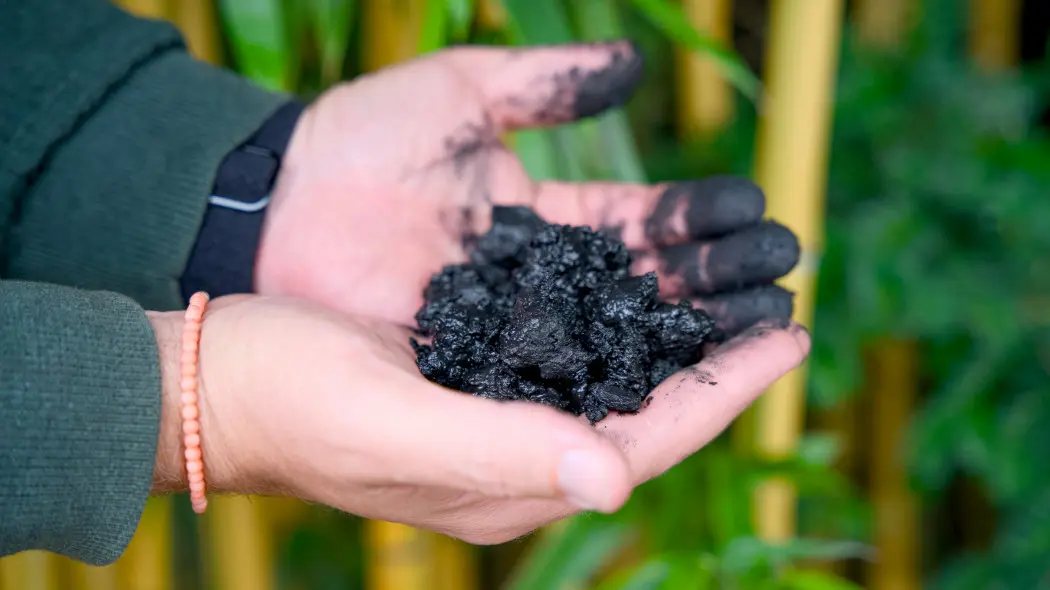 Biochar w ogrodzie