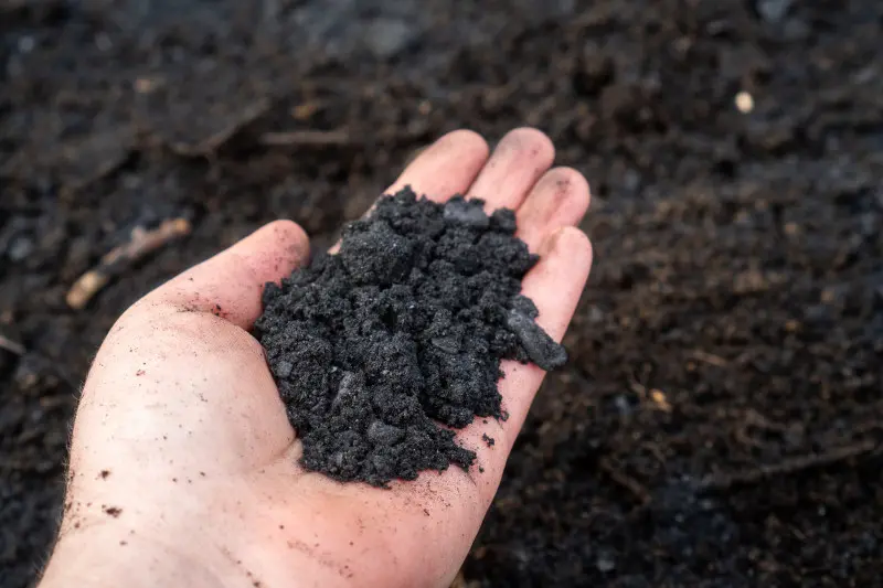 Co to jest biochar i jak powstaje