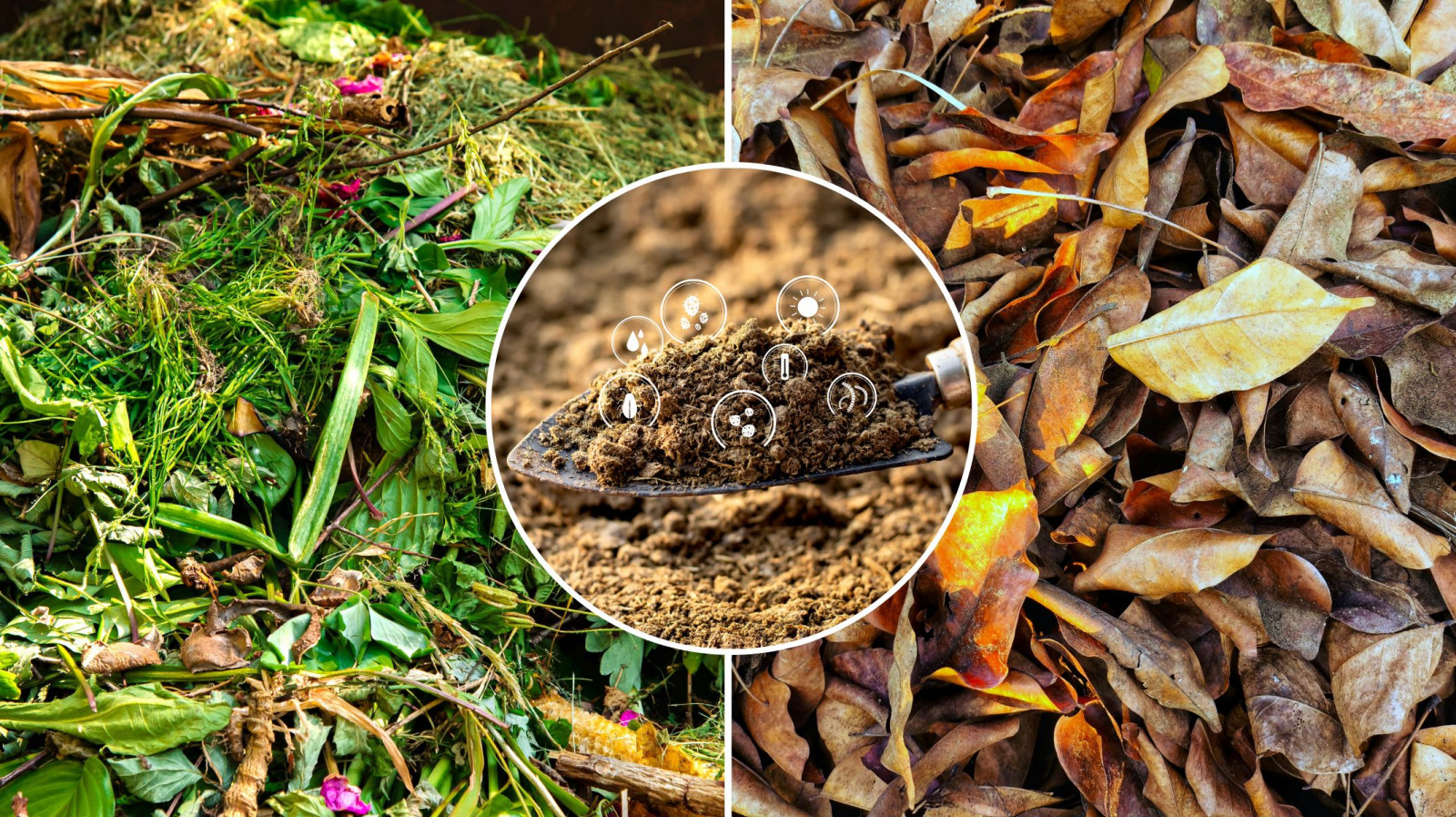 Co oznaczają kolory zielony i brązowy w kompostowaniu? Jaki jest idealny stosunek węgla do azotu (C:N)?