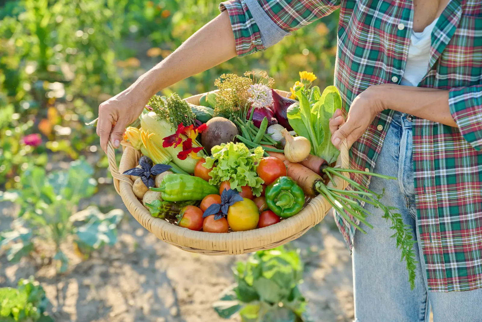 Własne plony smakują najlepiej! Jak zacząć uprawę żywności i dlaczego warto mieć "ogród smaku"?