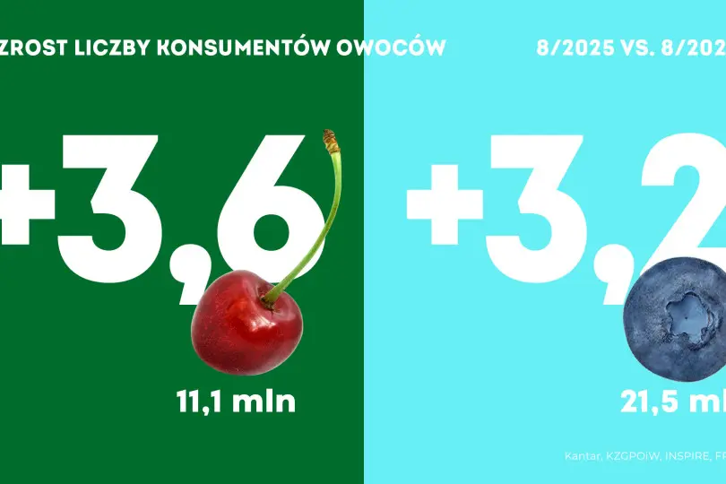 Konsumpcja owoców w sierpniu 2025 roku

