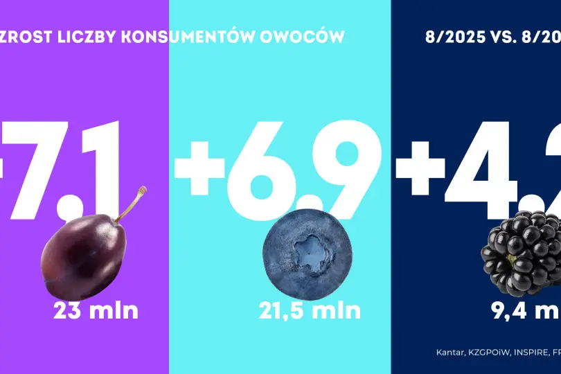 Konsumpcja owoców w sierpniu 2025 roku
