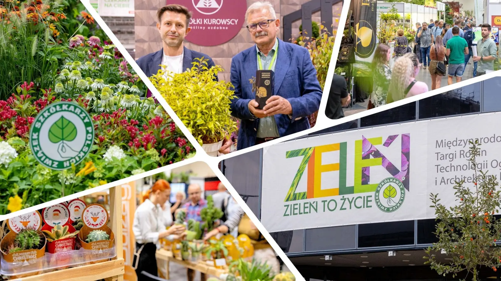 Dlaczego warto było być na Zieleń to Życie 2025? Spotkania, relacje i inspiracje