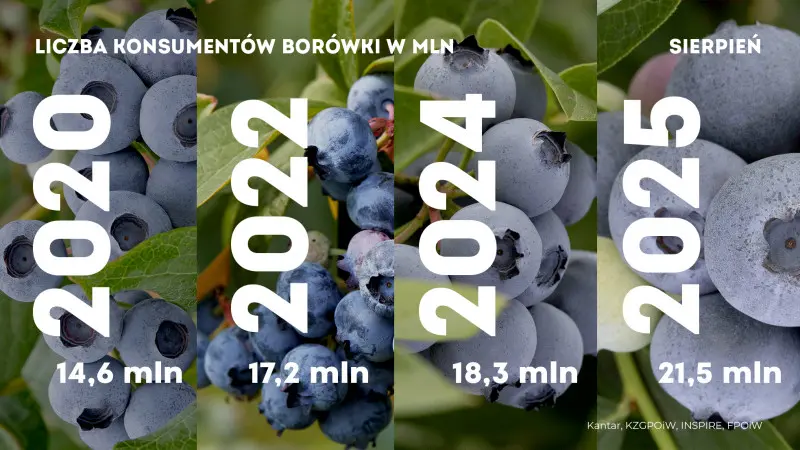 Borówek jemy więcej i więcej