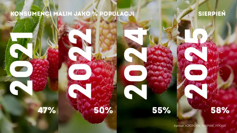 Rosnąca konsumpcja malin w sierpniu