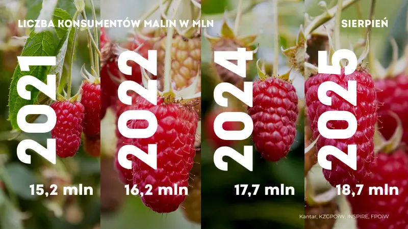 Rosnąca konsumpcja malin w sierpniu