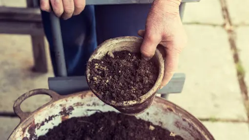 Jak ponownie wykorzystać podłoże z doniczek? I kiedy lepiej tego nie robić