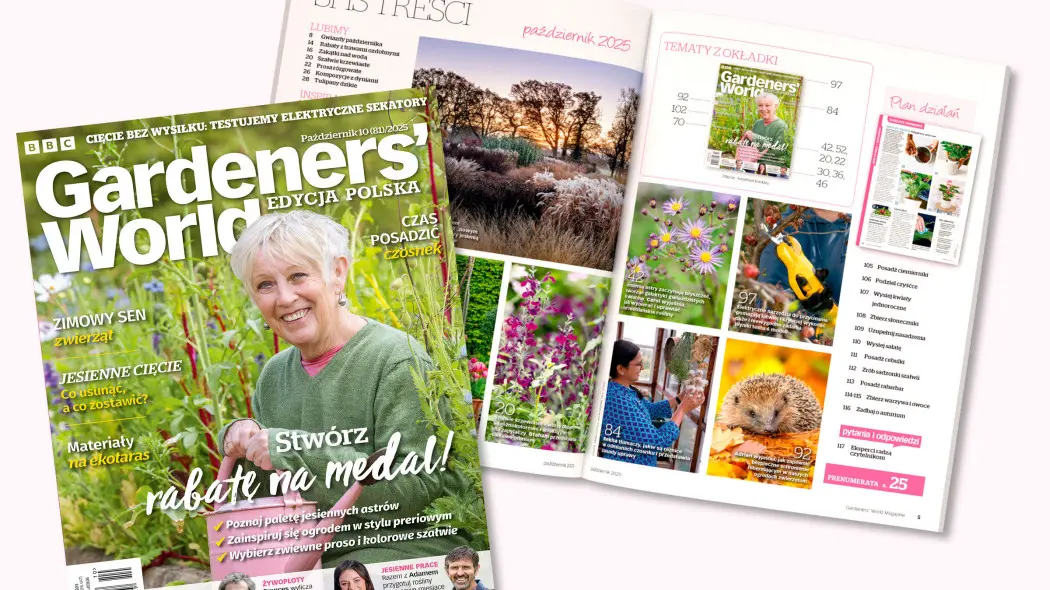 Październikowy Gardeners’ World – sadzimy, planujemy, podziwiamy