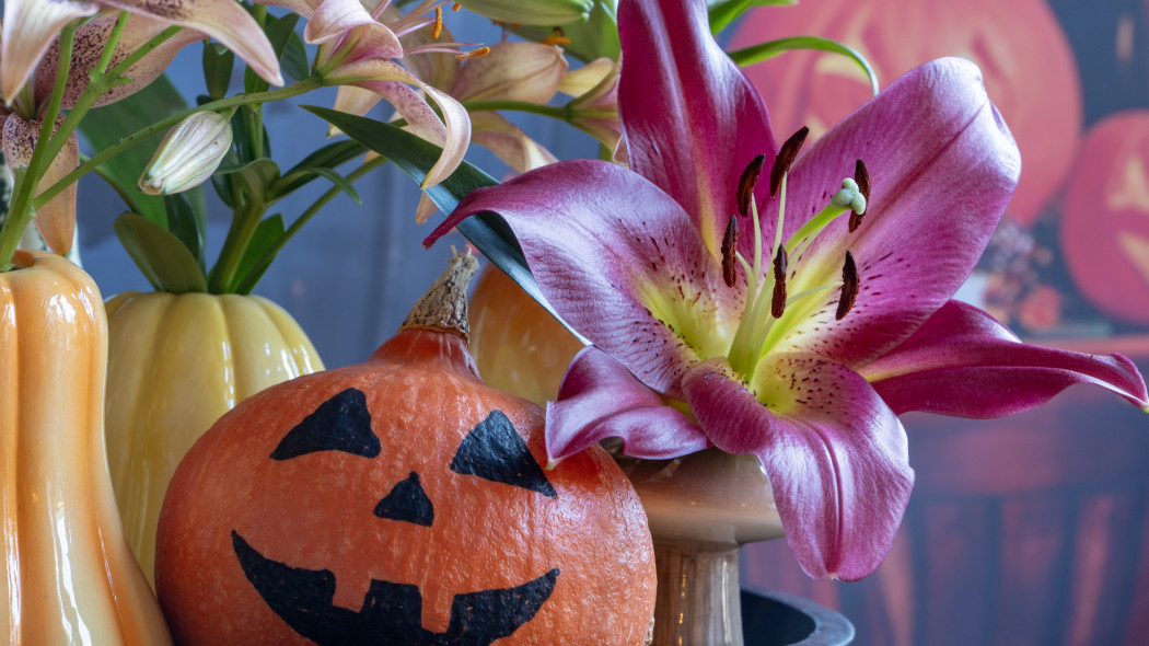 Subtelność lilii i klasyczna halloweenowa dynia? To połączenie kontrastów sprawia, że dekoracja nabiera charakteru i staje się... strasznie fajna!